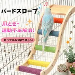 Item thumbnail for item 4abbbd2c-6166-42d6-8496-a01ec120dd93