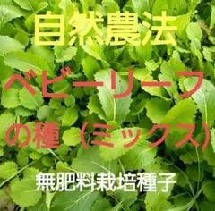 レッサー@天然石ハンドメイドアクセサリー様 リクエスト 5点 まとめ商品