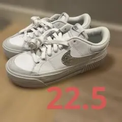 Nike ホワイト／シルバー コートレガシーリフト