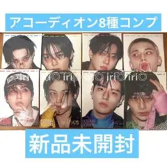 KARMA アコーディオン　8枚　コンプ　コンプリート　セット　スキズ　アルバム