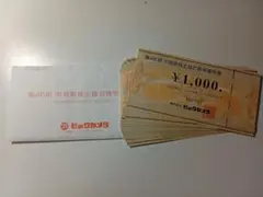 ビックカメラ お買物優待券 ¥1,000　25枚