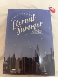 Eternal Summer New York Photo Diary 写真集