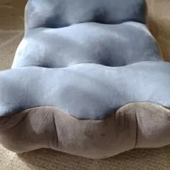 新品未使用　腰痛対策脚クッション