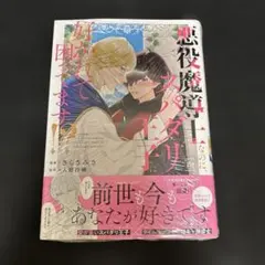 悪役魔導士なのに、スパダリ王子に好かれて困ってます!?