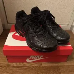 NIKE エアマックスプラス プレミアムのサムネイル