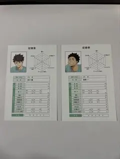 【ハイキュー!!】【及川徹】【岩泉一】ポストカード おまけ付き