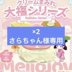 さらちゃん様専用