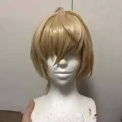 ✠朝倉 シン ウィッグ✠セット済 SAKAMOTODAYS - メルカリ