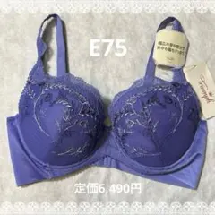 トリンプ　ブラジャー　E75　定価6,490円　新品タグ付き　匿名配送
