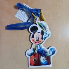 ディズニーリゾート　バケーションパッケージ　 チケットホルダー