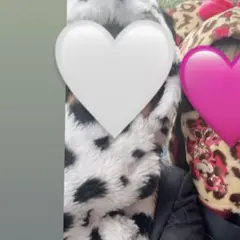 ディズニー　101匹わんちゃん　ファンキャップマフラー