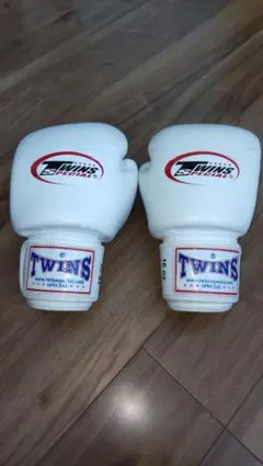 Item thumbnail for item 120b6831-376d-4ef7-a997-aae12dc4e3cc