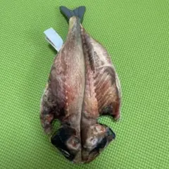 【レア商品】伊東マリンタウン限定　鯵の干物　ぬいぐるみ　魚