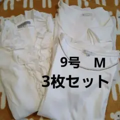 Item thumbnail for item b6e725e8-c0f8-454b-a87c-77cf70fc7200