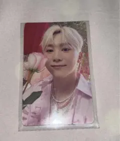 スングァン シーグリ