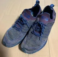 Item thumbnail for item 6eeeb57f-ef07-4b45-b898-218b452fb2c3