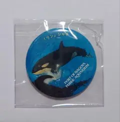 2026年最新】水族館deクルッと寄付の人気アイテム - メルカリ