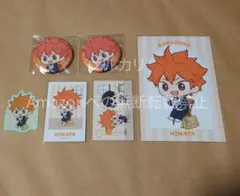 ハイキュー AMNIBUS ジャンプフェスタ 缶バッジ カード 特典 日向 影山