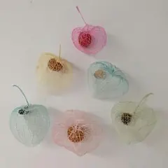 【専用】透かしホオズキ