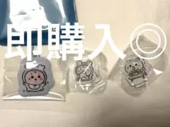 ちいかわ ベイビー アクスタ ぷっくりキーホルダー ハチワレ 古本屋 カニちゃん