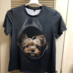 Item thumbnail for item 793432e9-d6db-4721-b34d-6d88b3a1e3b9