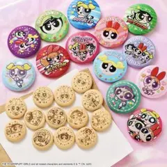 パワーパフガールズ 刺繍缶バッジ 10個セット