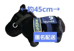 2025年最新】サラブレッドコレクションイクイノックスの人気