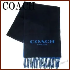 Item thumbnail for item 639948d9-2e41-46cc-ae90-e8a9f1dcc0c4