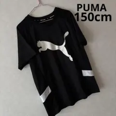 【PUMA】半袖Tシャツ 黒×白 150