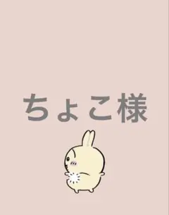 ちょこ様　まとめ売り
