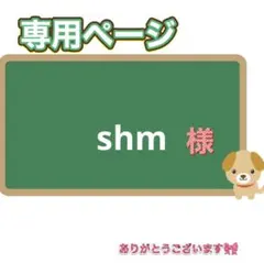shm様 リクエスト 3点 まとめ商品