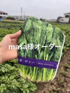 masa様　オーダー