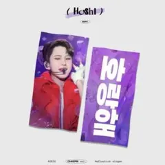 ホシ スローガン マスター SEVENTEEN