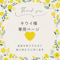 キウイ様 リクエスト 2点 まとめ商品