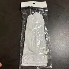 Item thumbnail for item 2b0bc75e-5a75-4533-8ede-05fe52eaa401