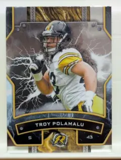 ピッツバーグスティラーズ♯トロイ　ポラマル　フィギュア NFL Series 29 Pittsburgh Steelers Troy Polamalu 6in Action