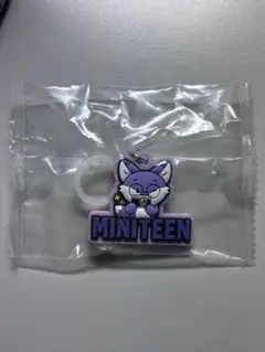 MINITEEN ぷっくりめじるしアクセサリー FOXDUNGEE ウォヌ