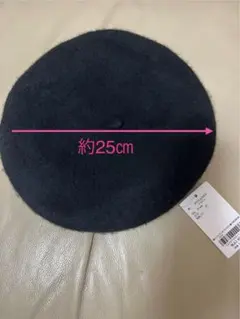 Item thumbnail for item e885072d-eded-44b3-9fdb-78e425660cc7