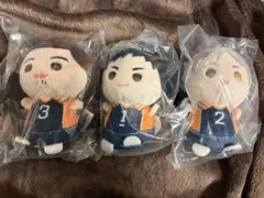 ハイキュー　もちマス　たっち