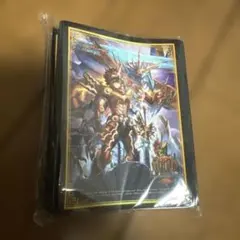 デュエルマスターズ GP 10th 9th スリーブセット 40枚ずつ - メルカリ