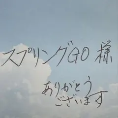 スプリングGO 様　専用