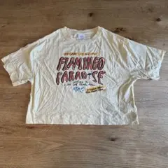 【美品】ZARA FLAMINGO PARADISE ロゴTシャツ164サイズのサムネイル