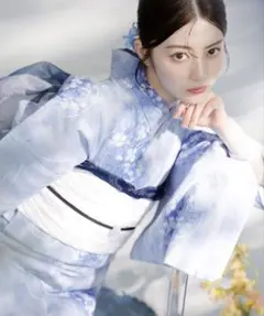 Dita ゆらぐ翠玉凑 巾着 飾り紐 オーガンジー兵児帯セット - メルカリ