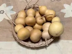 Item thumbnail for item 9b1c2633-268c-475f-938e-baf875a30465