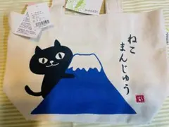 Item thumbnail for item 57bef7f5-bf12-4138-ab1f-2995f88af53a