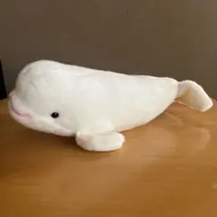 名古屋港水族館 ベルーガぬいぐるみ