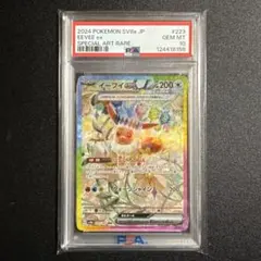 2026年最新】イーブイ ex psa10の人気アイテム - メルカリ
