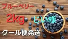 ☆令和8年 生ブルーベリー☆農薬不使用 3㌔ カカオ豆様専用 - メルカリ