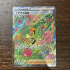 2025年最新】ナタネの活気sarの人気アイテム - メルカリ