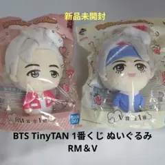 BTS TinyTAN 1番くじ ぬいぐるみ RM & V ２種 タイニータン
